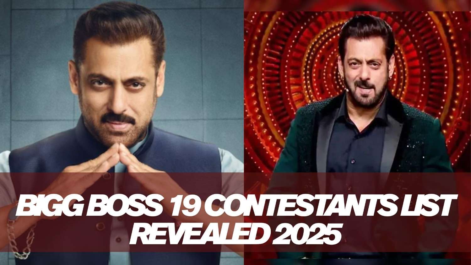 Bigg Boss 19 Contestants