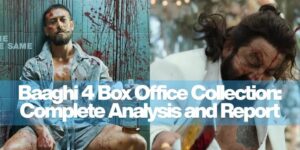 Baaghi 4 Box Office Collection: Complete Analysis and Report